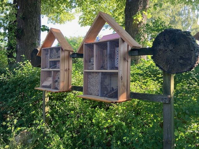 Insektenhaus